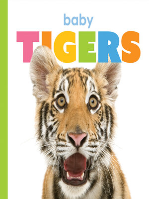 cover image of Baby Tigers